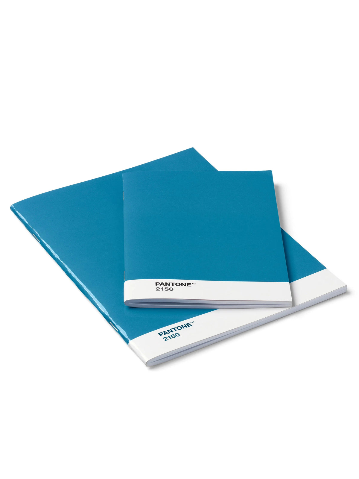 Pantone 2 Pack Notebooks