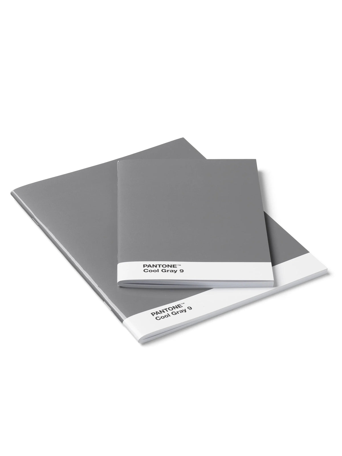 Pantone 2 Pack Notebooks
