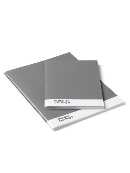 Pantone 2 Pack Notebooks