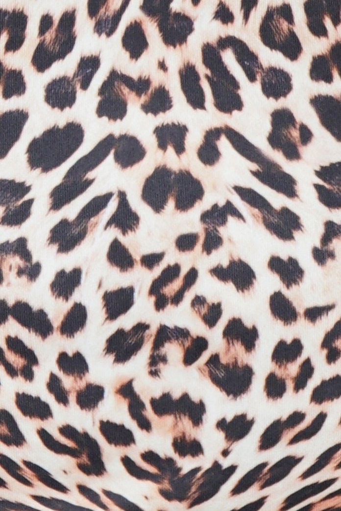 Lilian Off Shoulder Leopard Print Top