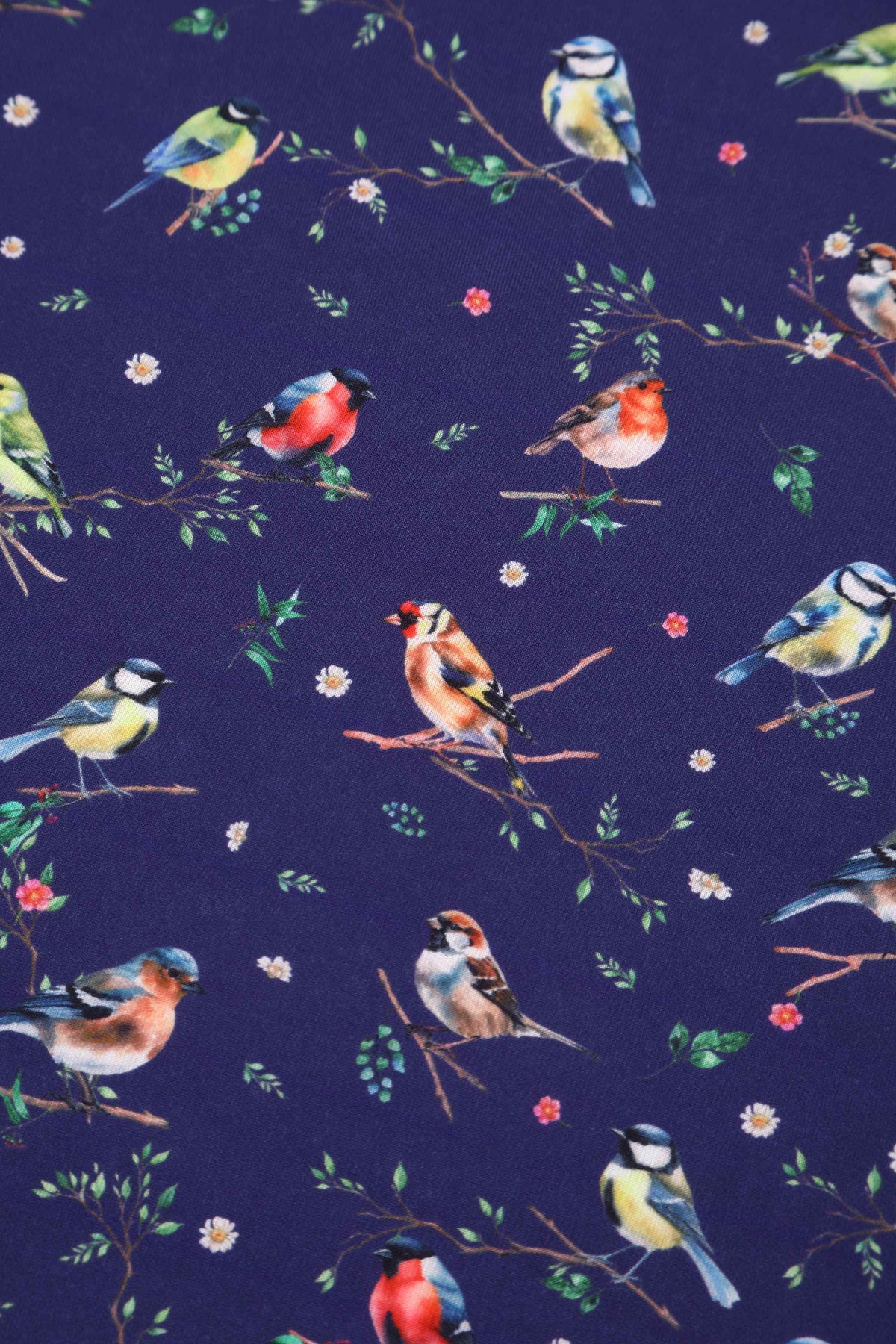 Lily Bird Garden Off Shoulder Dress In Navy Blue