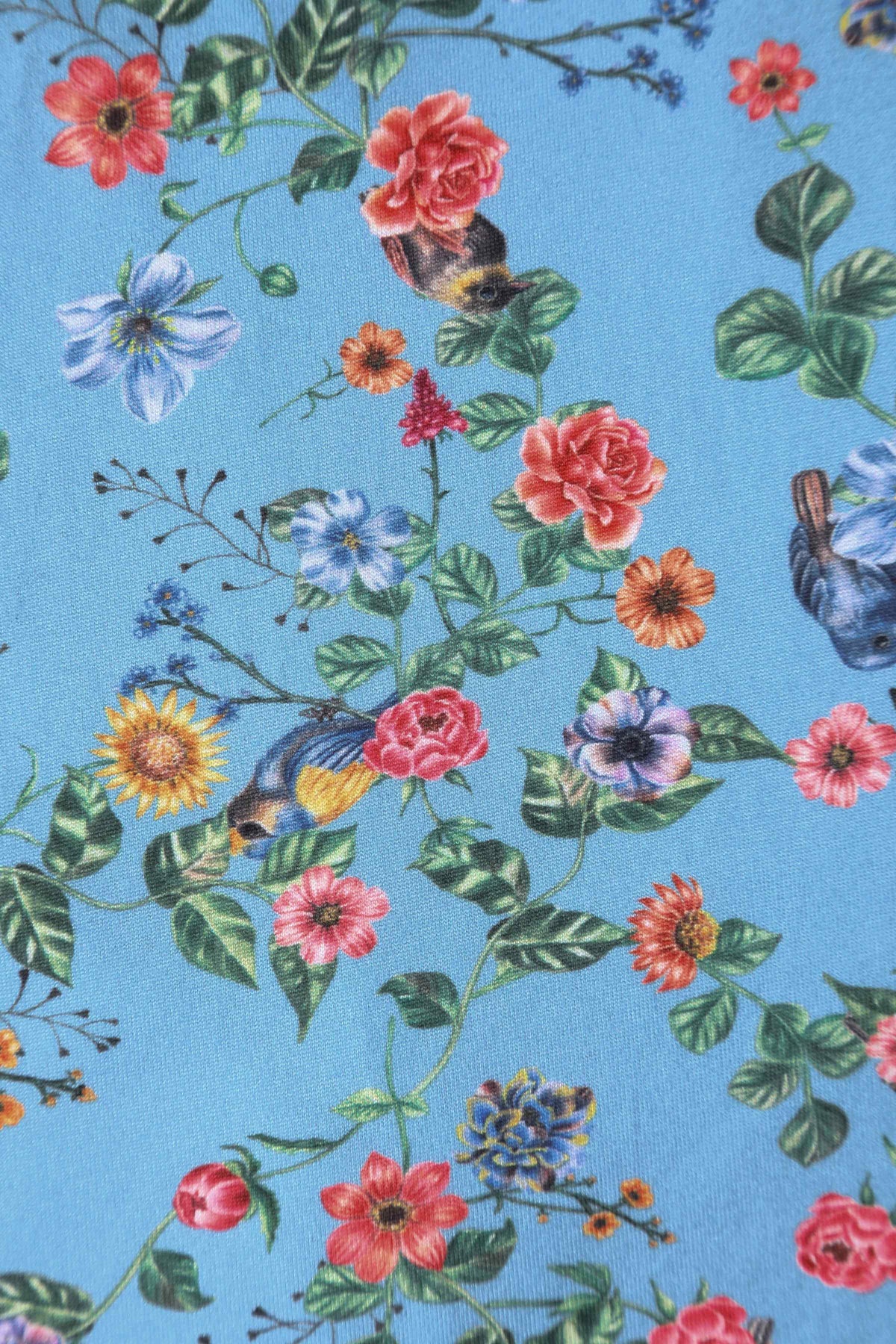 Katherine Blue Hummingbird Long Sleeved Dress