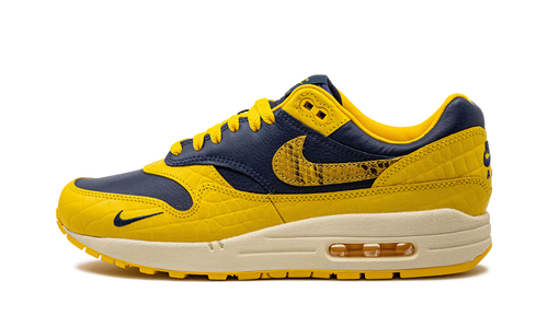 AIR MAX 1 PRM MNS WMNS "Co.jp Head to Head" FJ5479 410