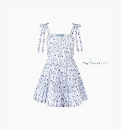 The Ribbon Charlotte Nap Dress - Blue Vine Stripe
